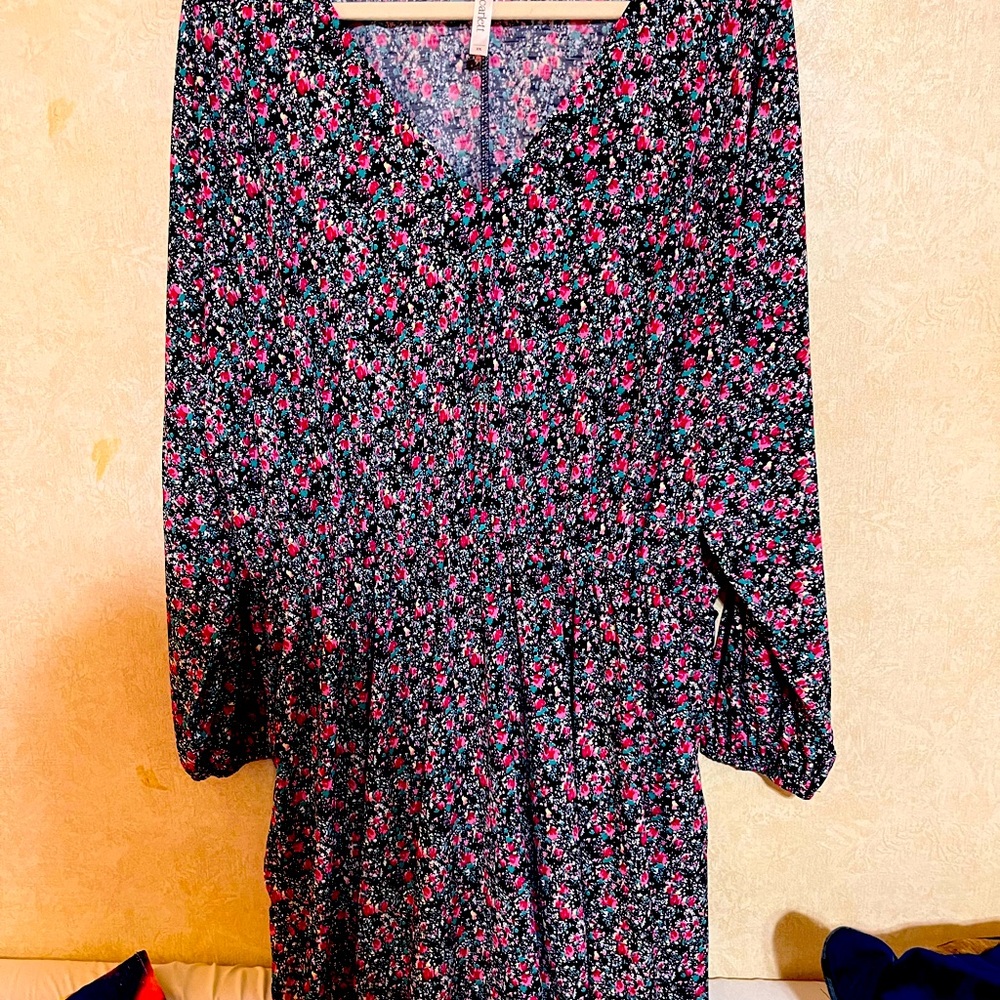 Dear Scarlett’s Floral Dress in Black with Pink & Green Accents - Women 3X